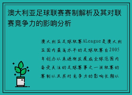 澳大利亚足球联赛赛制解析及其对联赛竞争力的影响分析
