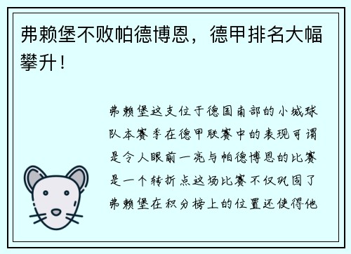 弗赖堡不败帕德博恩，德甲排名大幅攀升！